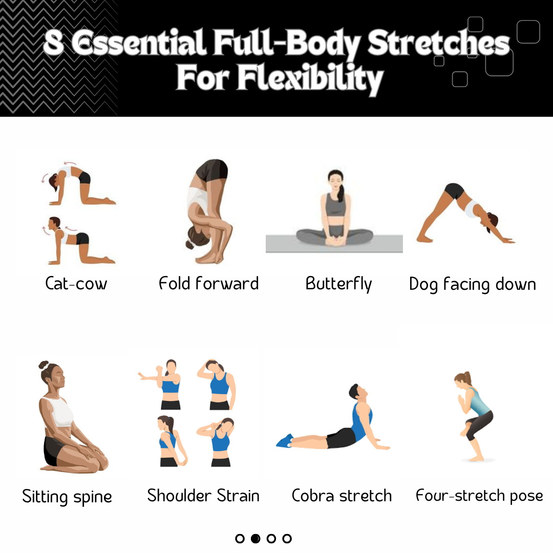 Benefits of Full-Body Stretching for Flexibility: Unlock Your Potential ...