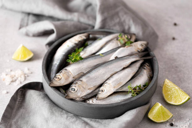 Wild-Caught Sardines: The Omega-3 Collagen Booster