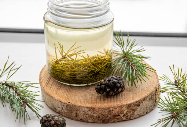 Fermented Pine Needle Extract: A Game-Changer for Radiant Skin