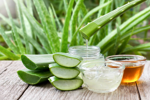 Aloe Vera For Skincare: Proven Benefits & Uses for Healthy Skin