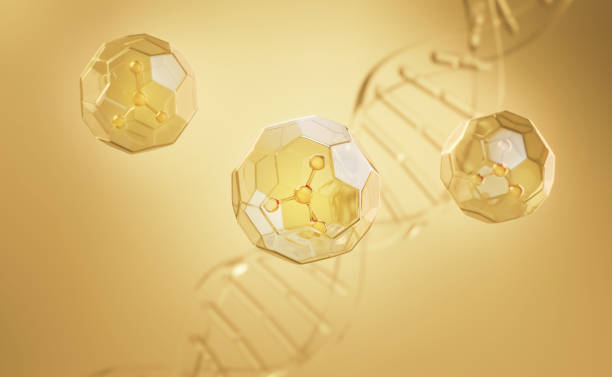 Peptides for Skin: Benefits& How to Use for Glowing Skin