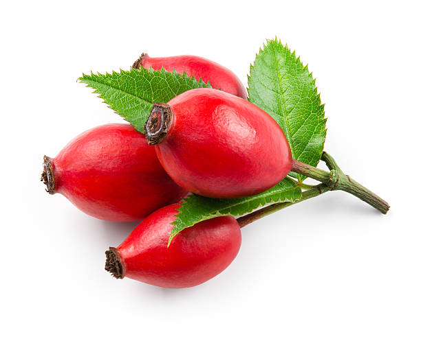 Rose Hips – The Anti-Aging Superfood