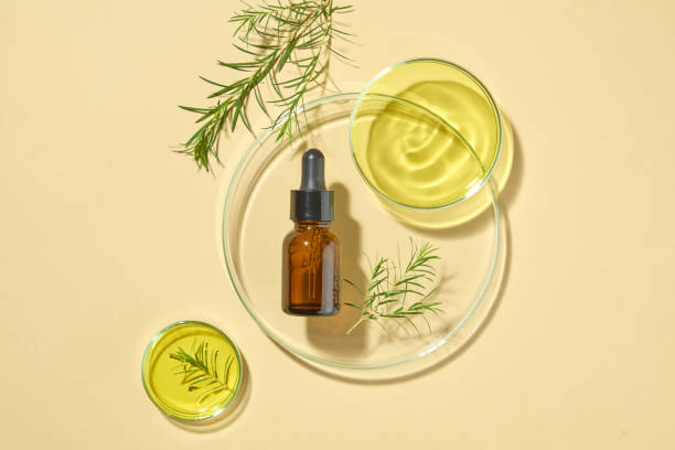 Tea Tree Oil: A Natural Anti-Itch Fighter